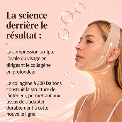 Khleopatra — Dispositif de Compression à Libération de Collagène 300 Daltons
